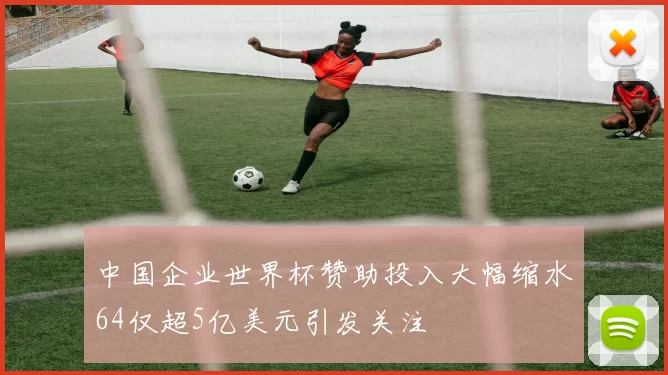 中国企业世界杯赞助投入大幅缩水64仅超5亿美元引发关注